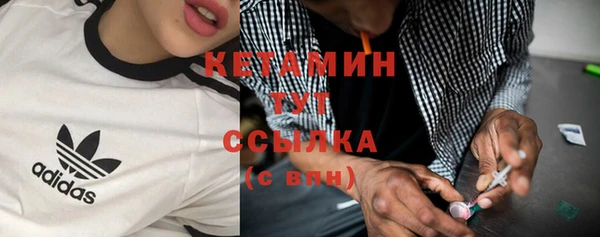гашик Алексин