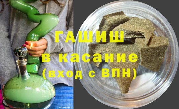 гашик Алексин
