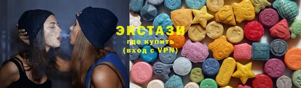 гашик Алексин