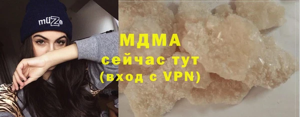 гашик Алексин