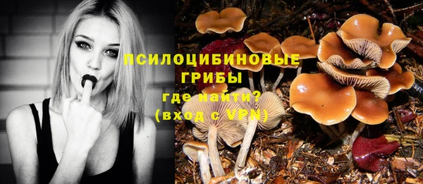 mdpv Алзамай