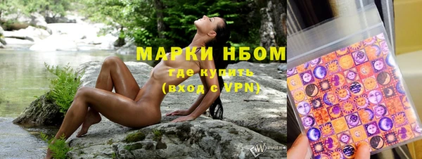 гашик Алексин