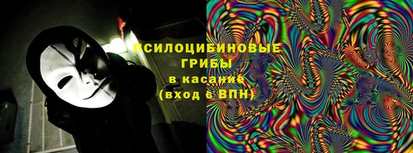гашик Алексин