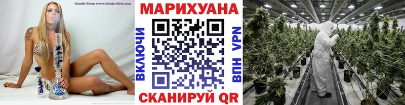Конопля ГИДРОПОН  Морозовск 